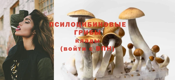 героин Богданович