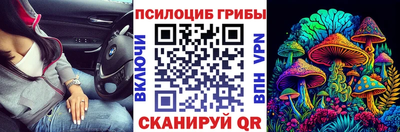 сколько стоит  Уфа  Галлюциногенные грибы Psilocybine cubensis 